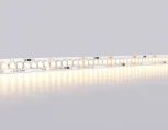 Светодиодная лента Ambrella Illumination GS1501 2835 240Led 19.2W/m 12V IP20 3000K 5m