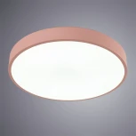 Потолочный светильник Arte Lamp Arena A2661PL-1PK