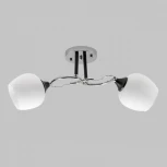 Потолочная люстра на штанге Imex MD.3618-2-S-CH+BK