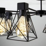 Потолочная люстра Eurosvet Trappola 70107/5 черный (220V)