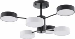 Потолочная люстра светодиодная на штанге Arte Milano Ferrara 250906/6B Bk/Wh (220V, круглые)