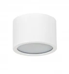 Накладной светильник TopDecor Tubo IP P1 10