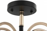Потолочная люстра на штанге Arte Milano Napoli 320119/5 FG+BK (220V)