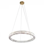 Подвесной светильник светодиодный кольцо Loft It Mondrian 10408/800 (220V, на тросе, кольцо)