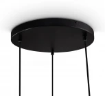 Подвесной светильник Freya Tesse FR1011PL-03B (220V, на проводе)