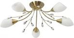Потолочная люстра MW-Light Нежность 356012905