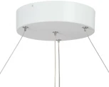 Подвесной светильник светодиодный V4676-0/2S (220V, круглые)