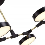 Потолочная люстра на штанге Monta SLE6004-402-06 Evoluce (LED, 220V, пульт управления, круглые)