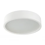 Потолочный светильник круглый Jasmin 23127 (220V)