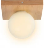 Потолочный светильник прямоугольный Мелодия Света SS1N 000036823