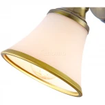 Спот Freya Jasinta FR2272-WL-01-BS (220V, круглые)