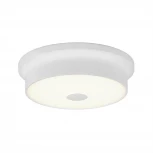 Настенно-потолочный светильник Citilux Фостер-2 CL706210