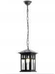 Уличный подвесной светильник Feron Бергамо 11690 PL675 (220V, на цепи, IP44)