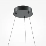 Подвесной светильник Maytoni Curve MOD241PL-L60BK (LED, 220V, на тросе)