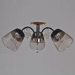 Потолочная люстра на штанге Reluce 07174-0.3-03