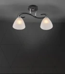 Потолочная люстра на штанге Seven Fires Nuala SF3372/2C-BK-CR-WT