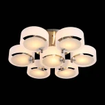 Потолочная люстра ST Luce Foresta SL483.352.07