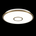 Потолочный светильник Citilux Старлайт Смарт CL703A63G