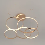 Подвесной светильник Eurosvet Posh 90175/5 (регулировка яркости, LED, 220V, пульт управления, на тросе, кольцо)