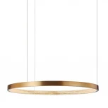 Подвесной светильник L'Arte Luce Aura L46704 (LED, 220V, на тросе, кольцо)