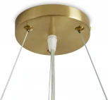 Подвесной светильник Freya Cozy FR6170PL-L52BS (LED, 220V, круглые)