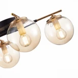 Потолочная люстра Evoluce Literno SLE106902-04