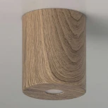 Потолочный светильник круглый DeMarkt Иланг 712010301 (LED, 220V)