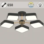 Потолочная люстра на штанге светодиодная Reluce 03360-0.3-05 BK+FGD