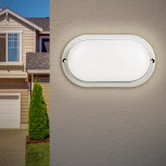 Настенно-потолочный светильник светодиодный ЭРА SPB-202-0-40K-008 (220V, IP65)