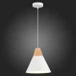 Подвесной светильник Evoluce Modica SLE125103-01