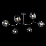 Потолочная люстра Freya Desi FR5006CL-06B