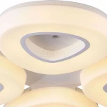 Потолочная люстра ST Luce Regen SL878.502.04-T5