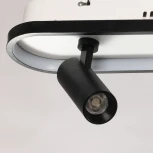 Настенно-потолочный светильник со спотом DeMarkt Драйв 377013604 (LED, 220V, пульт управления)