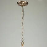 Подвесная люстра Favourite Sade 2690-6P