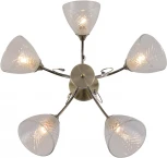 Потолочная люстра на штанге Reluce 01512-0.4-05 AB (220V)