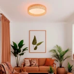 Потолочный светильник круглый LED F-Promo Conrad 4749-4C (регулировка яркости, 220V, пульт управления, круглые)