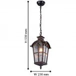 Уличный светильник подвесной Favourite Bristol 2036-1P (220V, на цепи, IP44)