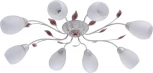 Потолочная люстра MW-Light Восторг 242016508