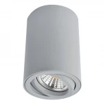 Накладной точечный светильник Arte Lamp Sentry A1560PL-1GY
