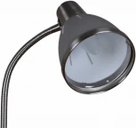 Торшер Reluce 03049-0.6-01B GY (220V)