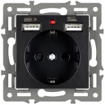 Механизм розетки с USB зарядкой SCT-MUAA-PL-BK (250V, 16A) (Arlight) 043734