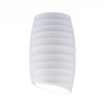 Накладной точечный светильник Elektrostandard DLN105 GU10