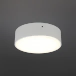 Потолочный светильник круглый Aployt Evon APL.0113.09.12 (LED, 220V, круглые)