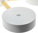 Потолочная люстра светодиодная на штанге с ДУ Ritter Scandia 51591 7