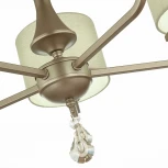 Потолочная люстра Evoluce Elida SLE107703-05