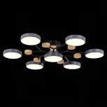 Потолочная люстра на штанге Evoluce Faema SLE6006-702-07