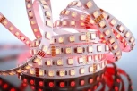 Светодиодная лента Deko-Light SMD5050 840147