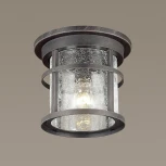 Потолочный светильник уличный Odeon Light Virta 4044/1C (220V, IP44)