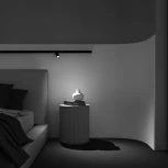 Трековый светильник (магнитный) Maytoni Focus LED TR032-2-5W2.7K-M-B (48V, круглые)