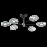 Потолочная люстра Evoluce Gloa SLE155512-06 (220V, шарики)